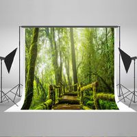 Photography Background 7X5ft Tropical Rain Forest Photography Background Foldable Without Wrinkles