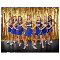 ShiDianYi Gold-SEQUIN BACKDROP-8FTx10FT Sequin Photo Backdrop,Photo Booth Background,Sequence Christmas Backdrop Curtain ON SALE