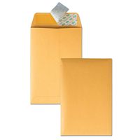 Quality Park Redi-Strip Envelope, Plain, 28 lbs, 6 x 9 Inches, 100 per Box, Kraft (QUA44162)