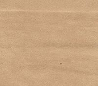 Micro/Passion Suede Fabric 58" Wide Sold by The Yard (Parchment #8)