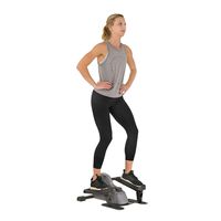 Sunny Health & Fitness Portable Stand Up Elliptical - SF-E3908, Gray