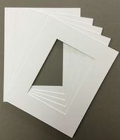 Pack of 5 11x14 White Picture Mats Bevel Cut for 8x12 Pictures