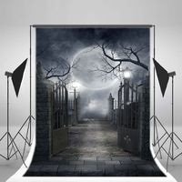 RBabyPhoto 5X7FT Halloween Backdrop All Saints' Day Horror Moon Night Gloomy Metal Gate Gothic Haunted Castle Photography Background for Kids Adults Carnival Masquerade Photo Studio Props Vinyl CK65