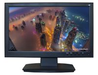 SVD 21.5-Inch 3D LED Professional Security Monitor With BNC HDMI Audio Inputs and BNC Audio Outputs and Build-in Speakers, SVD Advanced Security