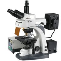 40X-1000X Infinity Plan EPI Fluorescent Microscope with Extreme Widefield Optics
