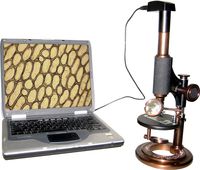 iOptron Electronic Antique Microscope
