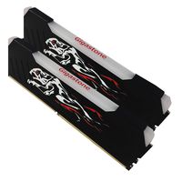 Gigastone Cheetah RGB 16GB (2 X 8GB) - 288-pin Dual Channel DDR4 3000MHz Desktop Memory DRAM Module, Professional Gaming Overclocking