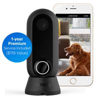 Canary Flex + 1-Year Premium Service Plan | Indoor Outdoor WiFi HD Home IP CCTV Security Camera | Home Surveillance | Night Vision, Weatherproof, Wireless or Plug in, Flexible | Motion Alerts, Black