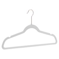 AmazonBasics Velvet Suit Hangers, 30-Pack, Ivory/Gold