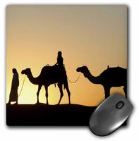 3dRose LLC 8 x 8 x 0.25 Inches Mouse Pad, Desert Camels are a Way of Transportation,and are Also Used for Racing at Dubai Camel Racecourse 3 (mp_10068_1)