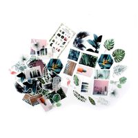 DIY Decorative Sticker, Natural Collection Series Washi Sticker for Album Diary Album Notebook Scrapbook Lifelog Cute Stationery Sticker, Pack of 60pc (#4)