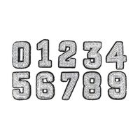 Libiline Sequins Number 0-9 Embroidered Patch Sew On/Iron On Patch Applique Clothes Dress Plant Hat Jeans Sewing Flowers Applique DIY Accessory (Sequin Number 0-9)