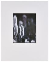 Nielsen Bainbridge Black PRE-Cut Portrait 16"X20"ARTCARE White w/Bevel MAT W/8"X10" Opening, 10 Piece