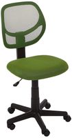 AmazonBasics Low-Back Computer Task Office Desk Chair with Swivel Casters - Green, BIFMA Certified