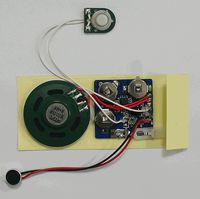Electronics123.com, Inc. Recording Module 20 Second - Card Type
