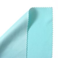 Silky Woven Microfiber Cloths 6 x 7" (Aqua, 10)