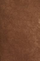 Backdrop Alley Brown Crush Muslin Photo Background, 10' x 12'