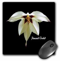 3dRose LLC 8 x 8 x 0.25 Inches Peacock Orchid Photography Flowers Mouse Pad (mp_6649_1)