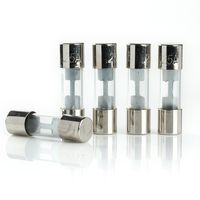 AGU Fuse Glass Fuse Silver Tips -5 pack (25 AMP)