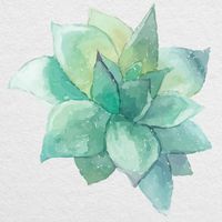 Watercolor Succulent 02-5" Printed Vinyl Decal - for MacBook, Laptop, Tablet and More!