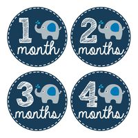 Pinkie Penguin Elephant Baby Monthly Stickers - Milestone Onesie Stickers - 1-12 Months - Baby Boy Month Stickers