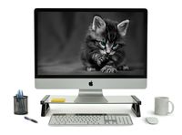 Mount-it! USB Monitor Stand and Laptop Stand, Glass Desk Riser with 3 USB Hub Ports, Capacity 20 lbs (MI-7240)