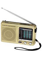 Carol Wright Gifts Portable 9-Band Radio