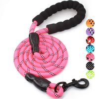 BAAPET 5 FT Strong Dog Leash with Comfortable Padded Handle and Highly Reflective Threads for Medium and Large Dogs (Hotpink)