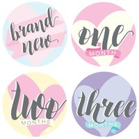 Bobee Baby Girl Milestone Stickers Memory Props, 13 Stickers Months one - Twelve and Brand New Sticker