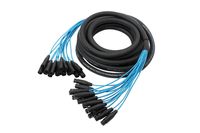 Elite Core 16 Channel 30' Fan To Fan XLR Extension Snake
