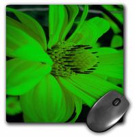3dRose LLC 8 X 8 X 0.25 Inches Bright Green Flower Mouse Pad (mp_29114_1)