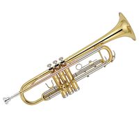 Kaizer C-Series (3000) Standard B Flat Bb Trumpet All New 2020 Model (Gold Lacquer Rose Brass)