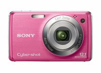 Sony Cybershot DSC-W220 12MP Digital Camera with 4x Optical Zoom with Super Steady Shot Image Stabilization (Light Pink) (OLD MODEL)