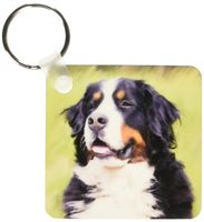 3dRose Bernese Mountain Dog - Key Chains, 2.25 x 4.5 inches, set of 2 (kc_4402_1)