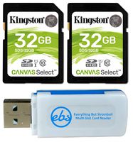 Kingston 32GB SD Memory Card (2 Pack Bundle) Canvas Select SDHC Card Class 10 UHS-1 (SDS/32GB) Plus (1) Everything But Stromboli (TM) SD & Micro Card Reader