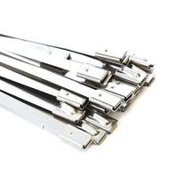 100-Pack Heavy Duty 14 Inches (115lbs) Stainless Steel Exhaust Locking Zip Cable Ties