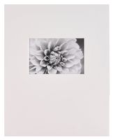 Nielsen Bainbridge PRE-Cut Landscape 11"X14" ARTCARE White MAT with 4"X6" Opening