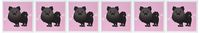3dRose Cute Black Pomeranian Pink with Paw Prints - Greeting Cards, 6 x 6 inches, set of 6 (gc_10828_1)