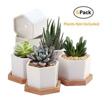 Succulent Plant Pots,OAMCEG 2.75 inch Mini Succulent Planter, Set of 6 White Ceramic Succulent Cactus Planter Pots with Bamboo Tray(Plants NOT Included)