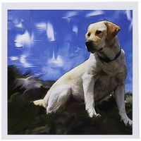 3dRose Labrador Retriever - Greeting Cards, 6 x 6 inches, set of 6 (gc_3986_1)