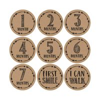 16 Rustic Baby Milestone Stickers, 12 Monthly Photo Picture Props for Girl or Boy Infant Onesie, 1st Year Belly Decals, Scrapbook Memory Registry Gift, Best Shower Basket Present, Unisex Birth Months