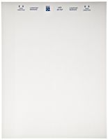 Brady LAT-34-707-1 3" Width x 1.437" Height, B-707 Rough Surface Polyester, Matte Finish White Lasertab Laser Printable Label (Pack of 1000)