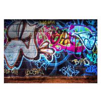 FUT Newest Colorful Graffiti in the Wall Vinyl Backdrop Background for Wall Decor Studio Photography Television Backdrops 7x5ft