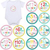 Unicorn Monthly Baby Stickers, Girls Bodysuit Stickers Infant Month Stickers, Great Shower Gift Excellent Baby Photo Props, 12 Pieces-10CM