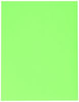 Compulabel 312254 Fluorescent Green Address Labels for Laser Printers, 4 x 3 1/3 Inch, Permanent Adhesive, 6 per Sheet, 100 Sheets per Carton
