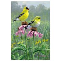 Tree-Free Greetings ECOnotes Blank Note Cards, Matching Envelopes, Blank Stationary Card Set, 4" x 6", Goldfinch & Coneflower, Pack of 12 (FS66818)
