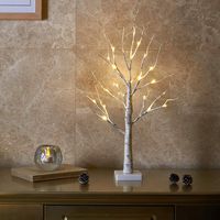 EAMBRITE 2FT 24LT Warm White LED Battery Operated Birch Tree Light Tabletop Tree Light Jewelry Holder Decor for Home Party Wedding