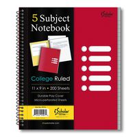 iScholar Xpression 5-Subject Poly Cover Wirebound Notebook, College Ruled, 200 Sheets, 11 x 9-Inches, Cover Color May Vary (59716)