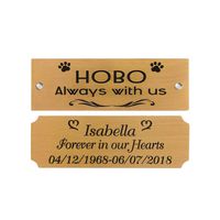 3" W x 1" H, Personalized Custom Engraved Brushed Gold Solid Brass Plate Picture Frame Name Label Art Tag for Frames, with Adhesive Backing or Screws