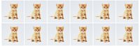 3dRose Cute Orange Tabby Kitten - Greeting Cards, 6 x 6 inches, set of 12 (gc_44771_2)